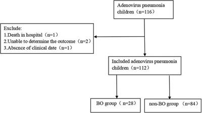 Risk factors for the development of bronchiolitis obliterans in children after suffering from adenovirus pneumonia